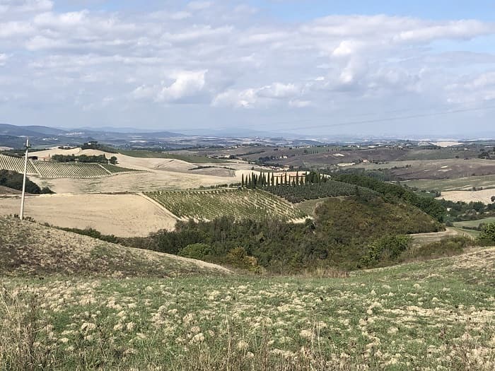 la tipica campagna toscana che ci accompagna al fine tappa