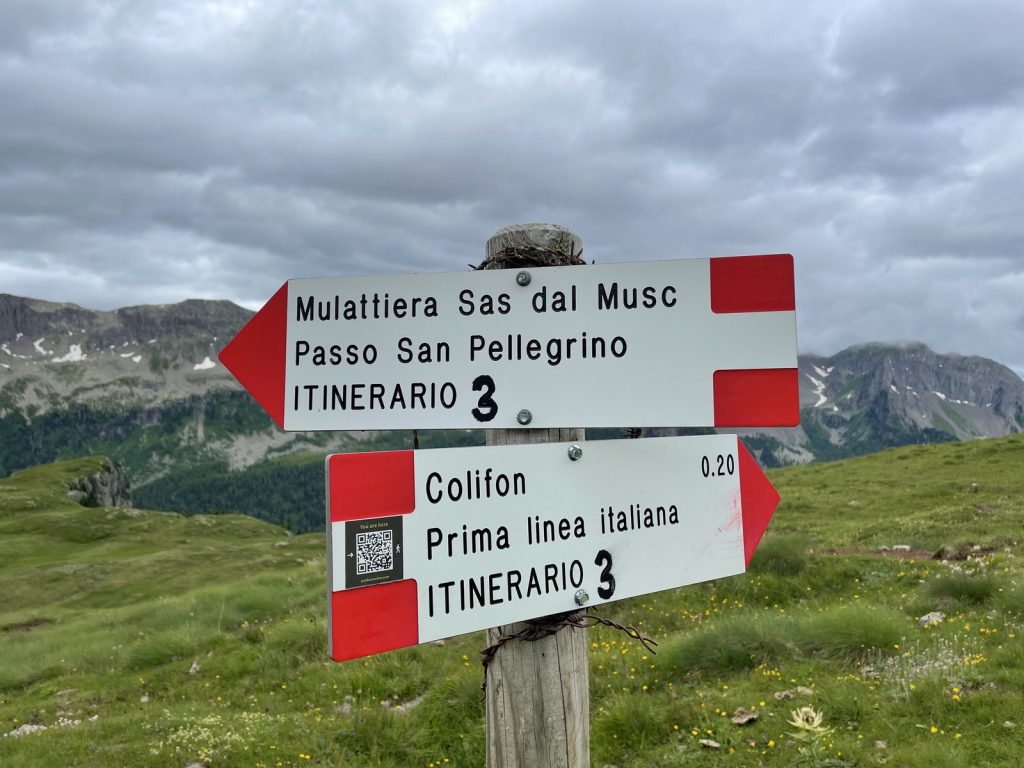 Quarta edizione settimana verde Disabilincorsa sulle Dolomiti a Moena