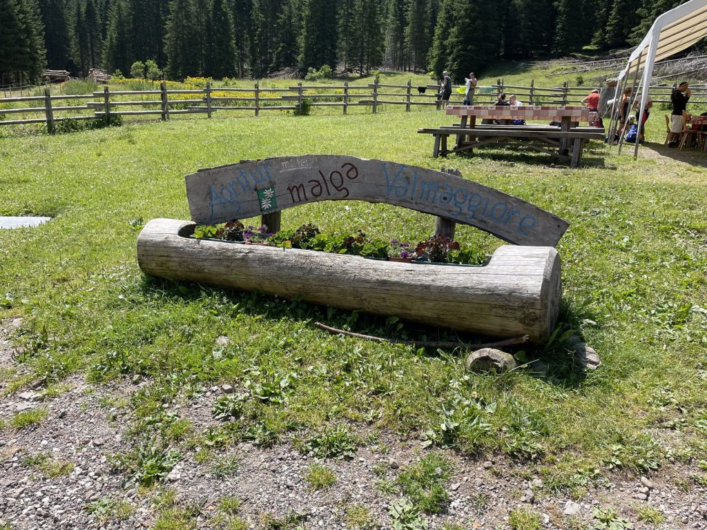 Quarta edizione settimana verde Disabilincorsa sulle Dolomiti a Moena
