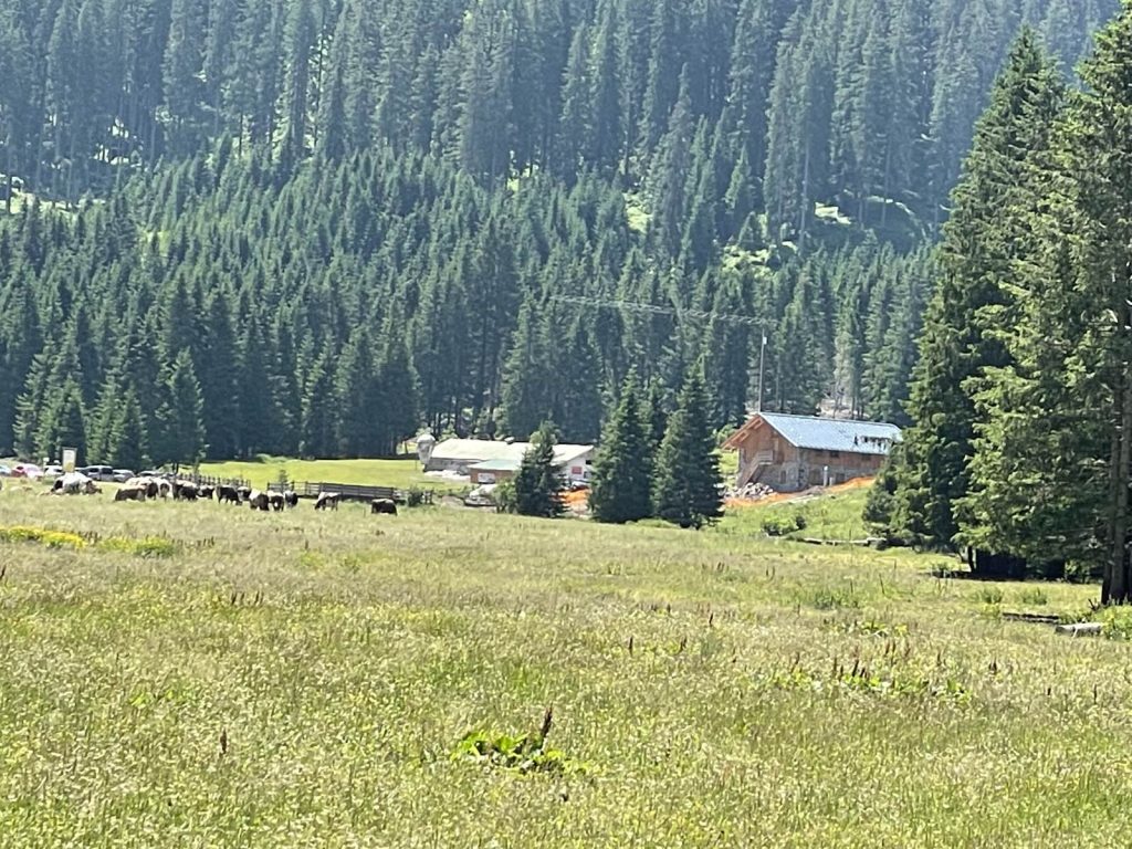 Quarta edizione settimana verde Disabilincorsa sulle Dolomiti a Moena