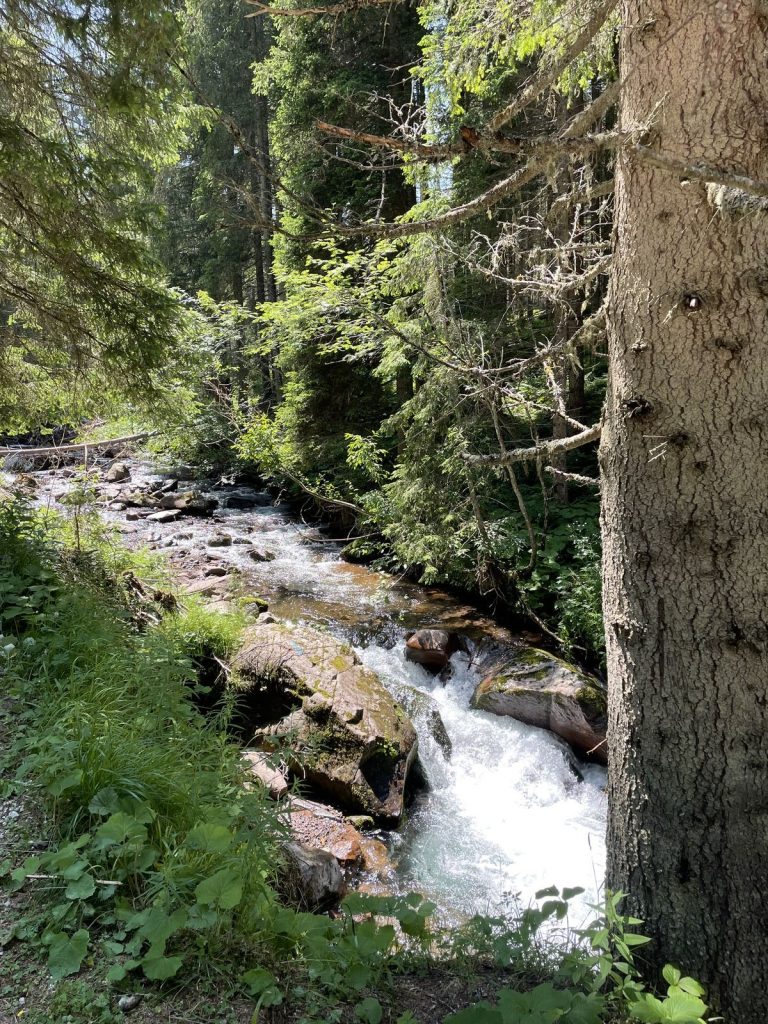 Quarta edizione settimana verde Disabilincorsa sulle Dolomiti a Moena