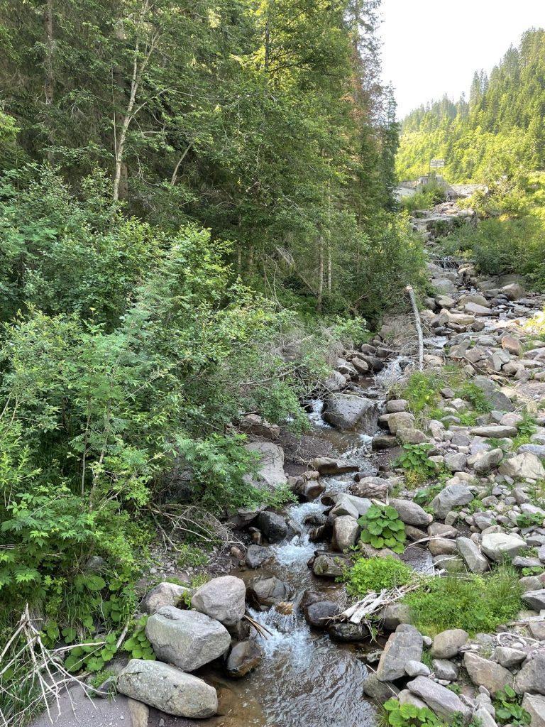 Quarta edizione settimana verde Disabilincorsa sulle Dolomiti a Moena
