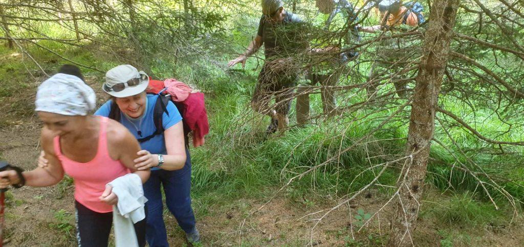 Quarta edizione settimana verde Disabilincorsa sulle Dolomiti a Moena