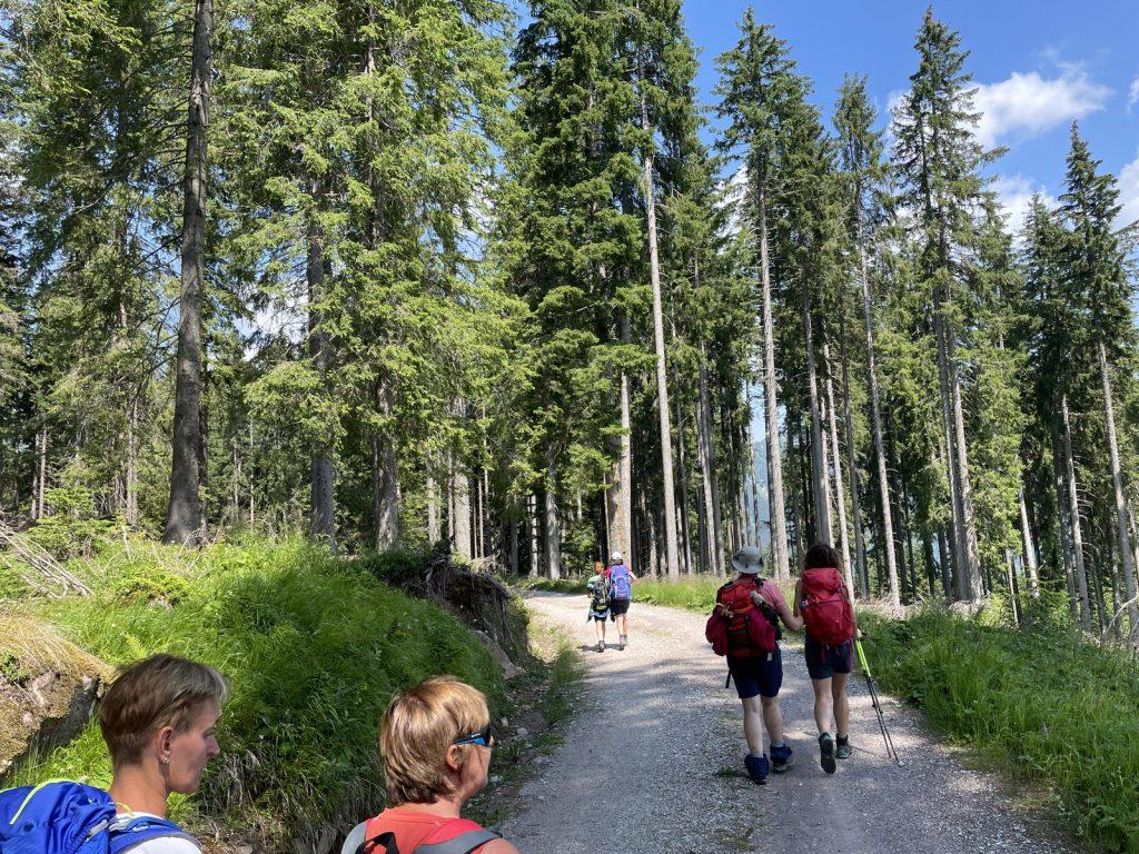 Quarta edizione settimana verde Disabilincorsa sulle Dolomiti a Moena