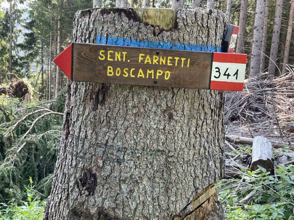 Quarta edizione settimana verde Disabilincorsa sulle Dolomiti a Moena