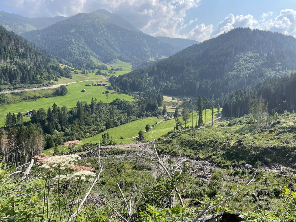 Quarta edizione settimana verde Disabilincorsa sulle Dolomiti a Moena