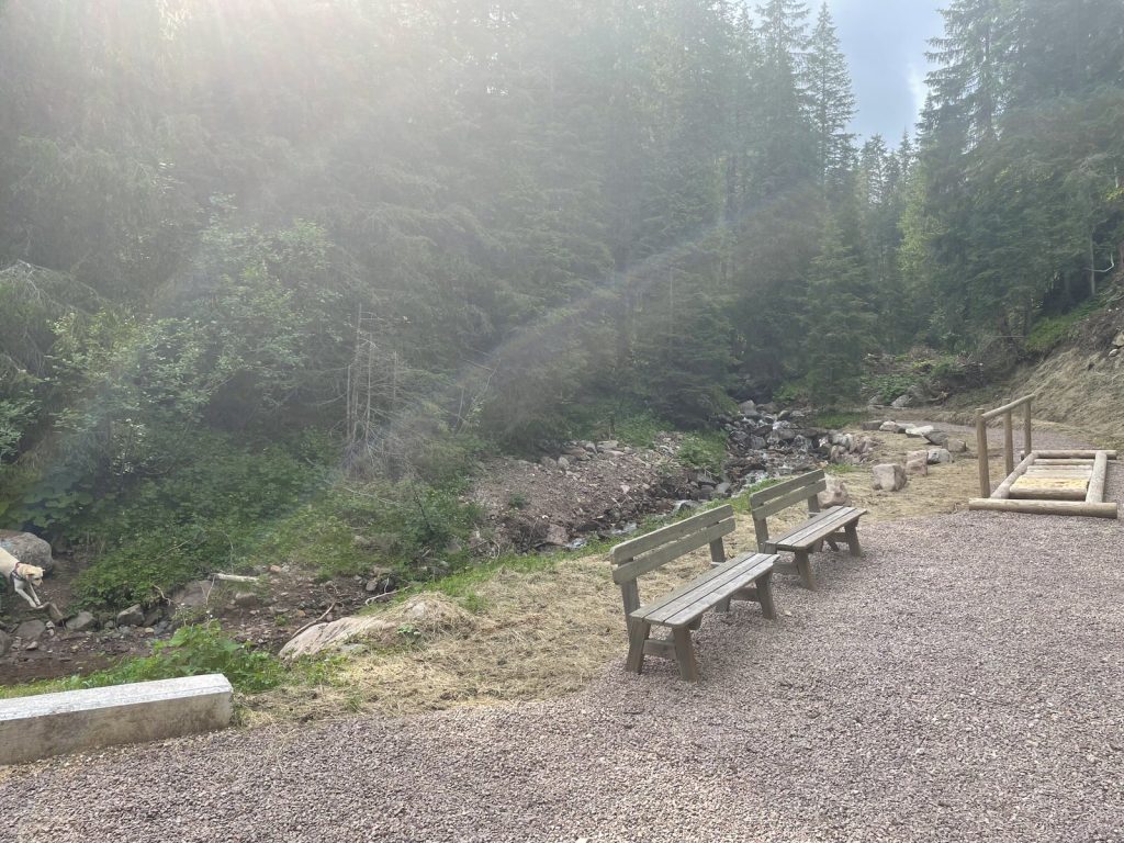Quarta edizione settimana verde Disabilincorsa sulle Dolomiti a Moena
