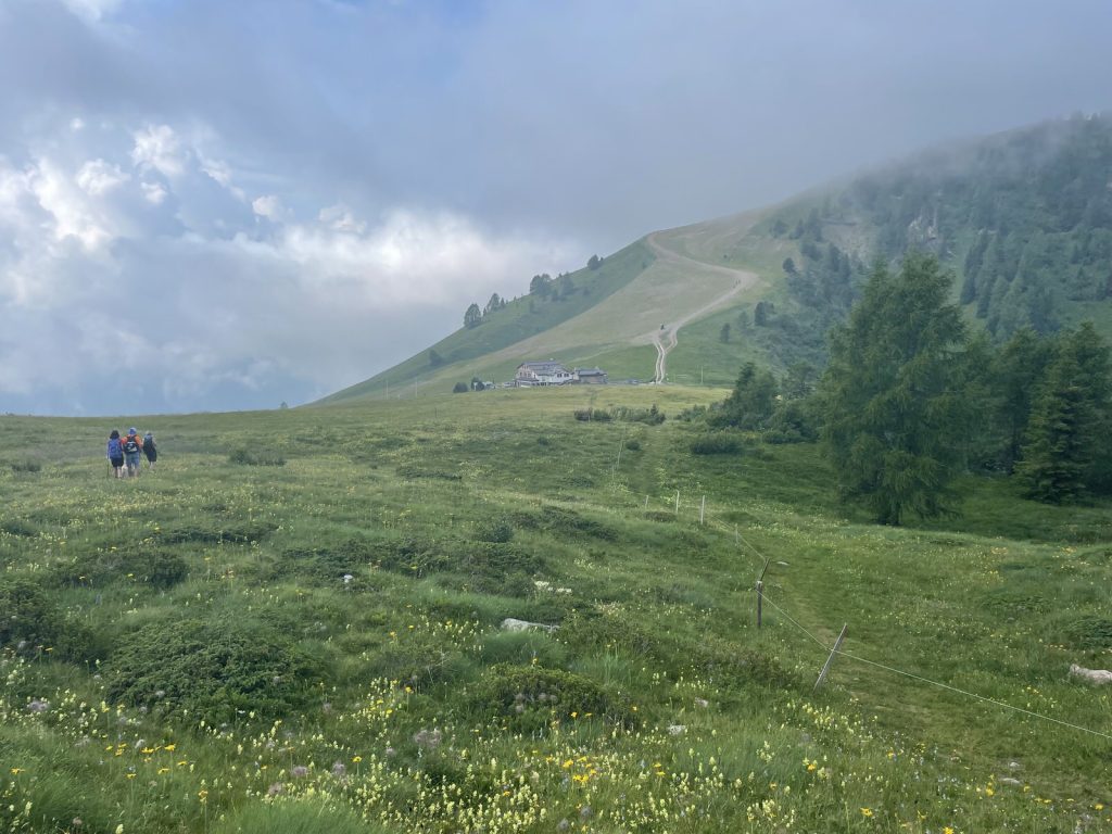 Quarta edizione settimana verde Disabilincorsa sulle Dolomiti a Moena