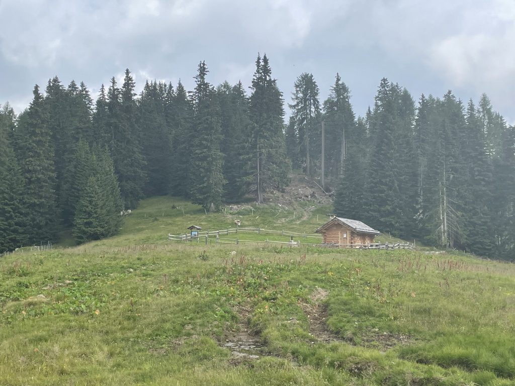 Quarta edizione settimana verde Disabilincorsa sulle Dolomiti a Moena