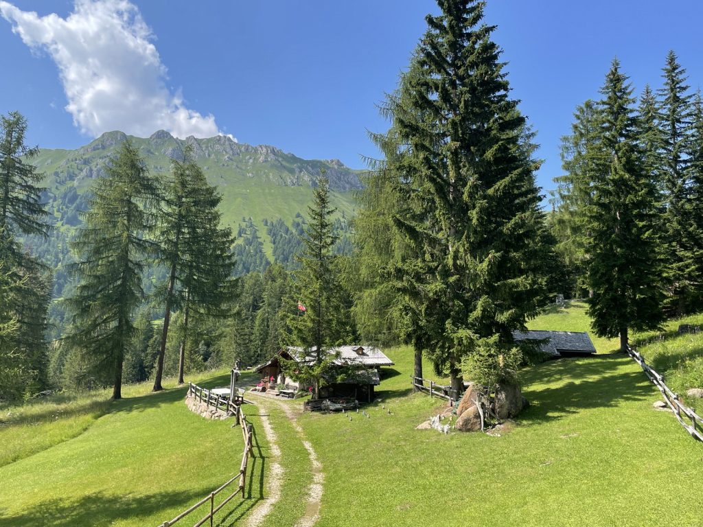 Quarta edizione settimana verde Disabilincorsa sulle Dolomiti a Moena