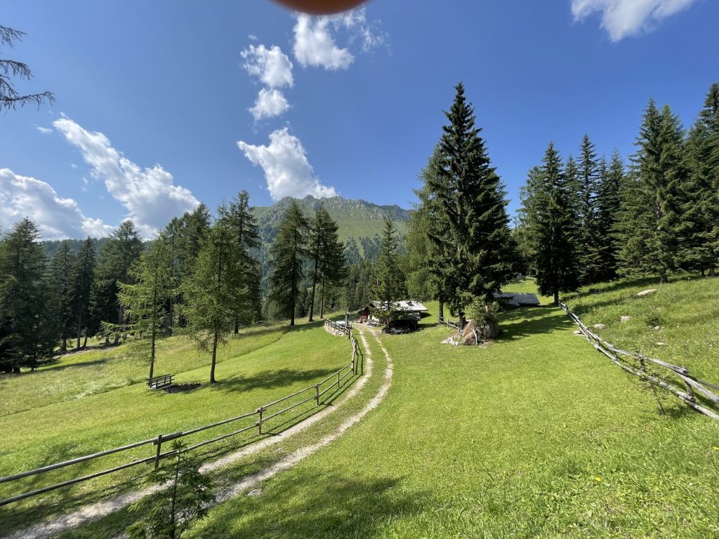 Quarta edizione settimana verde Disabilincorsa sulle Dolomiti a Moena