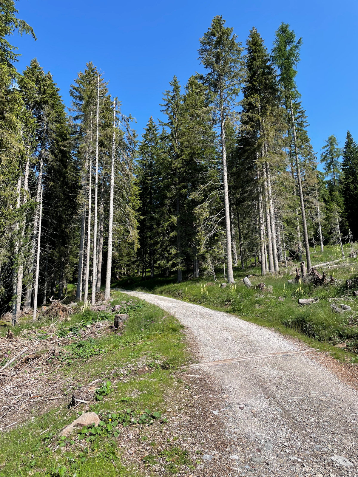 Via degli Dei 2022