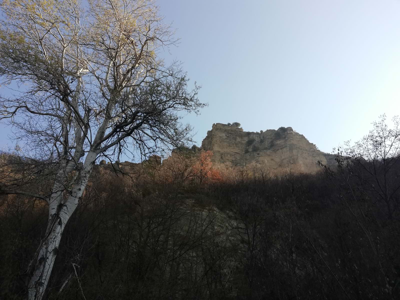 Al momento stai visualizzando Via degli Dei: seconda tappa da Sasso Marconi a Montorio