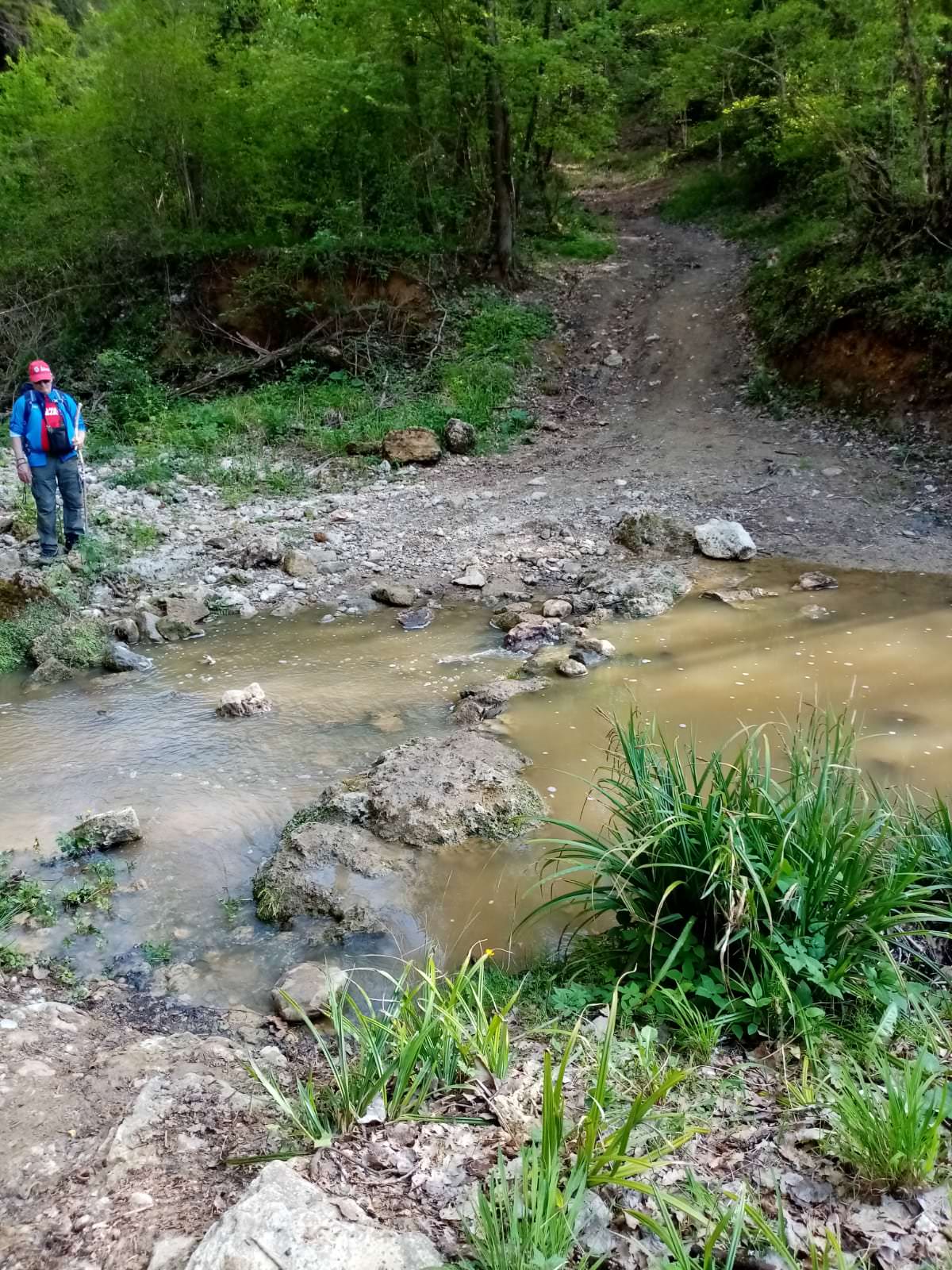 Via Francigena 2022 con Disabilincorsa