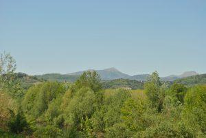 panorama