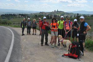 gruppo e sullo sfondo San Gimignano