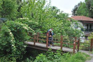 Tappa 8 della Via Francigena 2022 da Massa a Sarzana