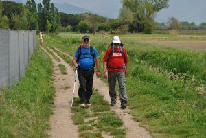 Tappa 8 della Via Francigena 2022 da Massa a Sarzana