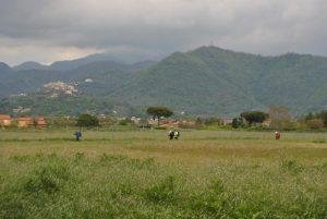 Via francigena 2024
