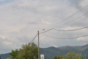 Tappa 8 della Via Francigena 2022 da Massa a Sarzana