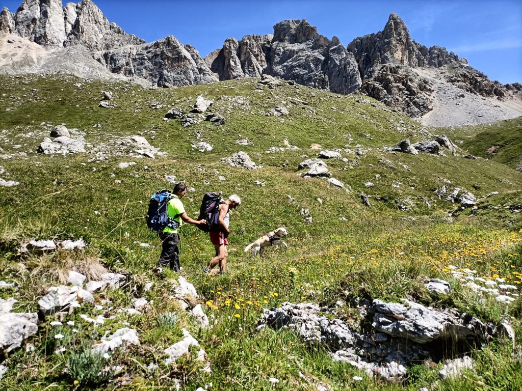 Grafico: Il non vedente e la sua guida mentre fanno trekking