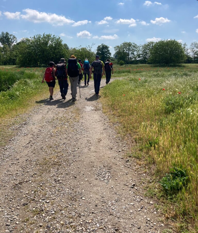 Scopri di più sull'articolo Nona tappa Via Francigena Contromano e Contro i Pregiudizi, Io sono Piccolina!