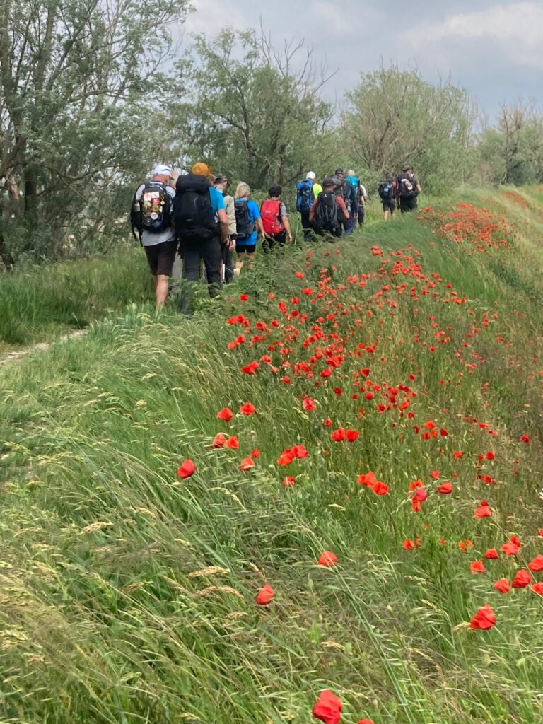 via francigena 2023