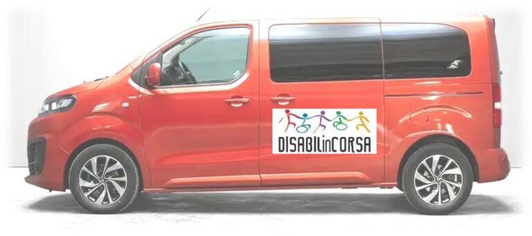 Scopri di più sull'articolo Lotteria di Santa Lucia per Disabilincorsa: vivi la generosità, vinci grandi premi!