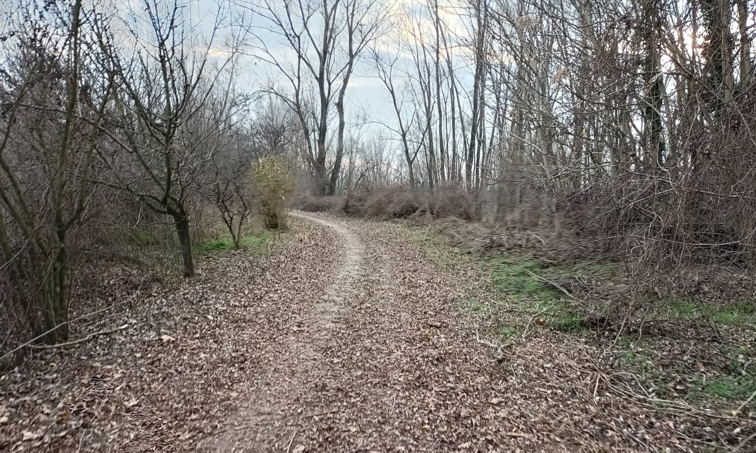 Al momento stai visualizzando Unisciti alla camminata del 18 febbraio 2024 a Romano di Lombardia – sport, natura e solidarietà!